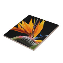 Hawaii Bird of Paradise Pflanze Blume
