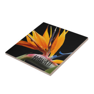 Hawaii Bird of Paradise Pflanze Blume Fliese
