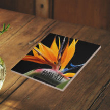 Hawaii Bird of Paradise Pflanze Blume