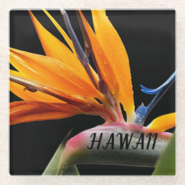 Hawaii Bird of Paradise Pflanze Blume Glasuntersetzer