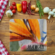 Hawaii Bird of Paradise Pflanze Blume