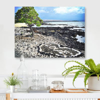 Hawaii Black Sand Beach & Coral "Liebe" Foto