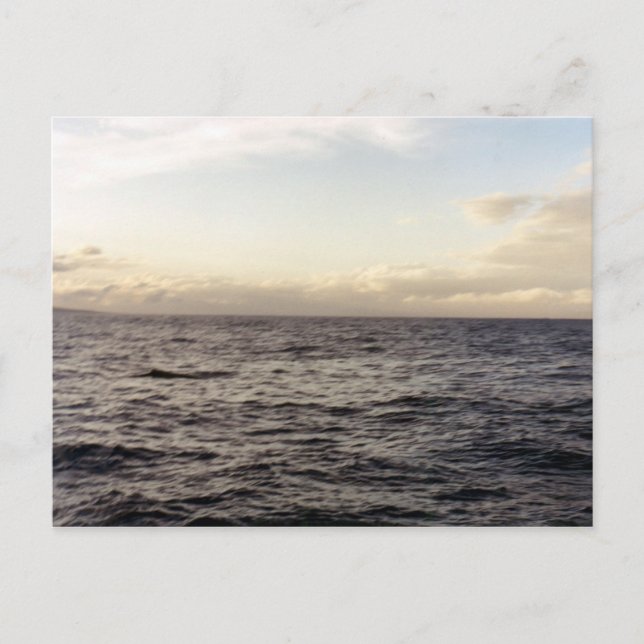 Hawaii Blue Postkarte (Vorderseite)