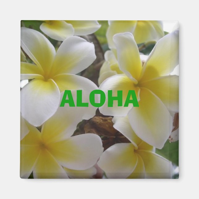 hawaii-Blume1, ALOHA Magnet (Vorne)