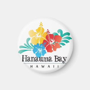 Hawaii-Blume Magnet