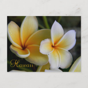 Hawaii-Blume Postkarte