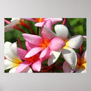Hawaii-Blumen Poster