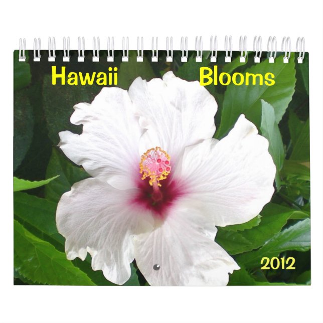 Hawaii Blüten mit Blume Kalender (Titelbild)