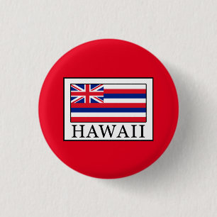 Hawaii Button