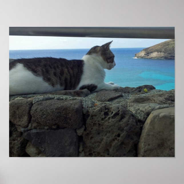Hawaii Cat Poster (Vorne)