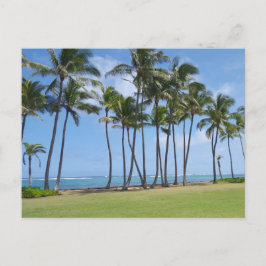 Hawaii Coast Postcard Postkarte