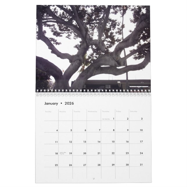 Hawaii der große Insel-Kalender Kalender (Jan 2026)