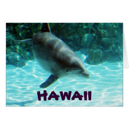 Hawaii Dolphin