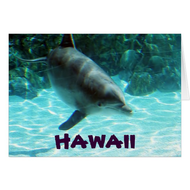 Hawaii Dolphin (Vorderseite (Horizontal))