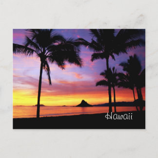 Hawaii Dream Postcard Postkarte
