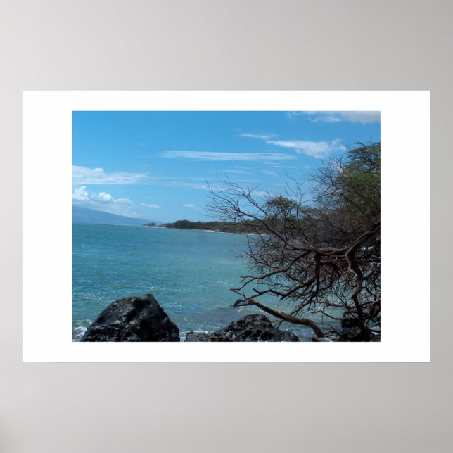 Hawaii-Fischerei Poster (Vorne)