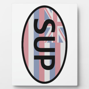 Hawaii Flag Standup Paddling Fotoplatte