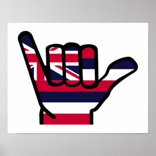 Hawaii-Flagge Poster