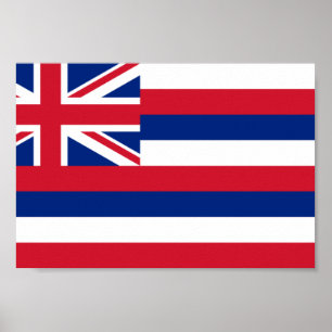 Hawaii-Flagge Poster