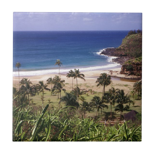 Hawaii Fliese (Vorderseite)