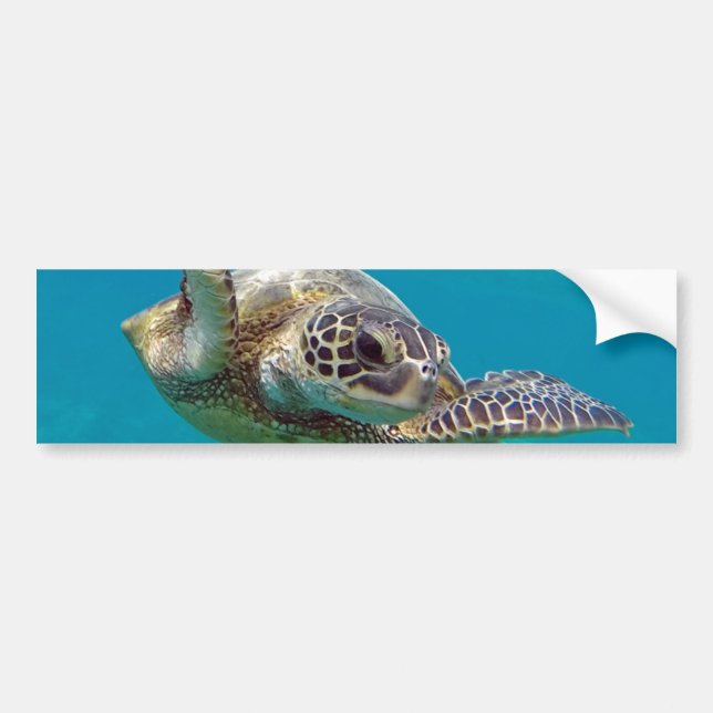 Hawaii Green Sea Turtle - Honu Autoaufkleber (Vorne)