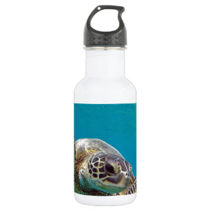 Hawaii Green Sea Turtle - Honu Edelstahlflasche