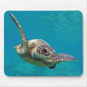 Hawaii Green Sea Turtle - Honu Mousepad