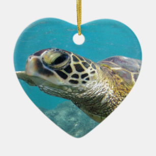 Hawaii Green Sea Turtle Keramik Ornament