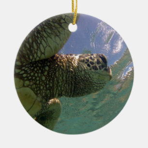 Hawaii Green Sea Turtle Keramik Ornament