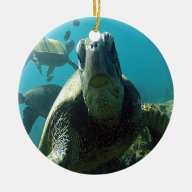 Hawaii Green Sea Turtle Keramik Ornament (Vorne)