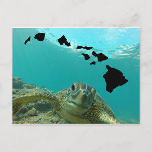 Hawaii Green Sea Turtle Postkarte