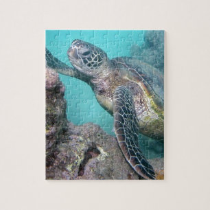 Hawaii Green Sea Turtle Puzzle