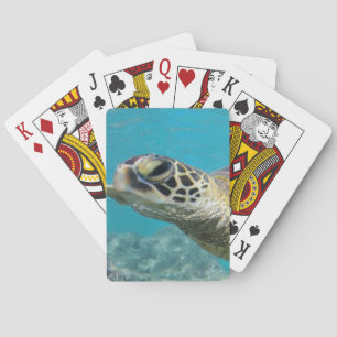Hawaii Green Sea Turtle Spielkarten