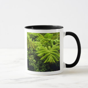 Hawaii, Große Insel, üppige tropische Vegetation i Tasse