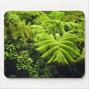 Hawaii, Große Insel, üppige tropische Vegetation Mousepad