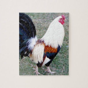 Hawaii Hanauma Bay Rooster Puzzle