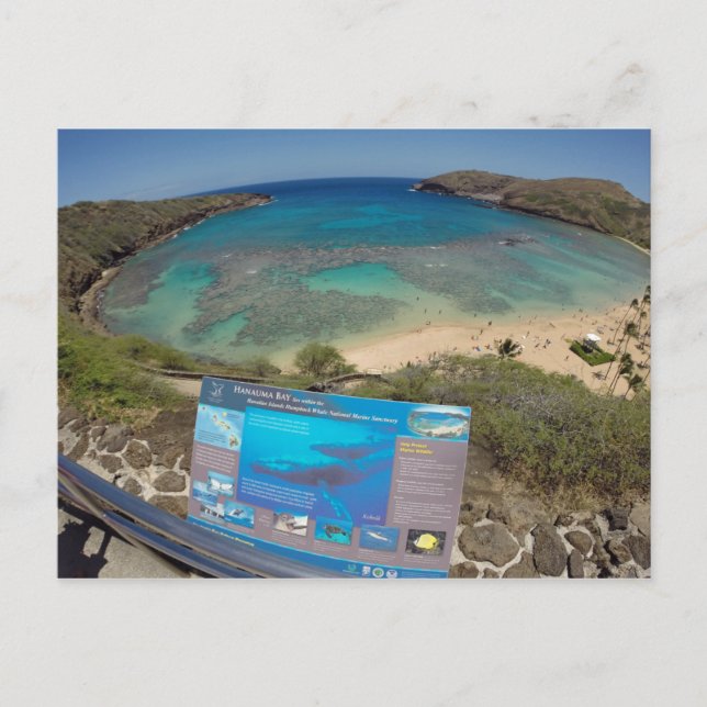 Hawaii Hanauma Bay Vulkan Postkarte (Vorderseite)