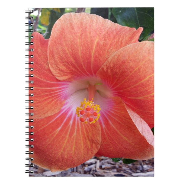 Hawaii-Hibiskus-Blumen Notizblock (Vorderseite)