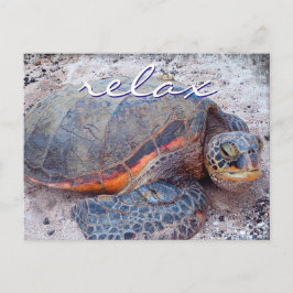 Hawaii Honu Meeresschildkröte nah-up Foto Relax Zi Postkarte