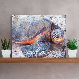 Hawaii Honu Meeresschildkröte Strand Nahaufnahme F Leinwanddruck