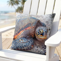 Hawaii Honu Sea Turtle Beach Foto Einfaches Modern