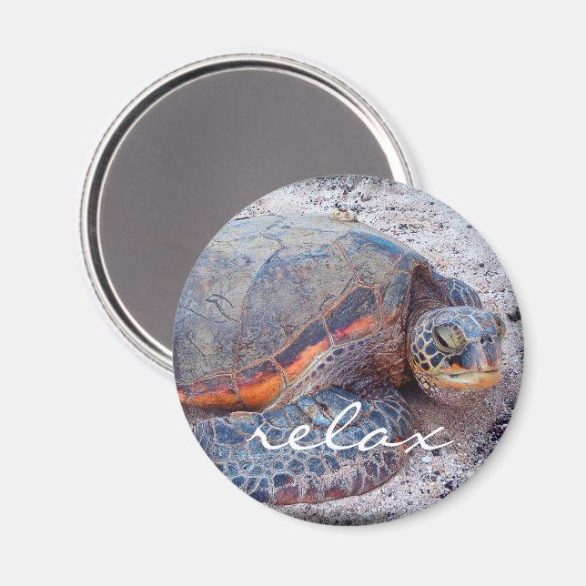 Hawaii honu tropische Meeresschildkröte Foto Relax Magnet (Vorderseite/Rückseite)