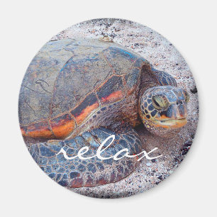 Hawaii honu tropische Meeresschildkröte Foto Relax Magnet