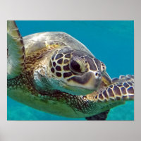 Hawaii-Inseln