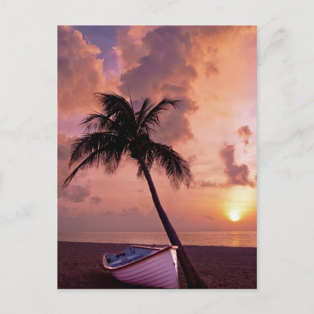 Hawaii Island Travel Beach Sunset Palm Tree Boat Postkarte (Vorderseite)