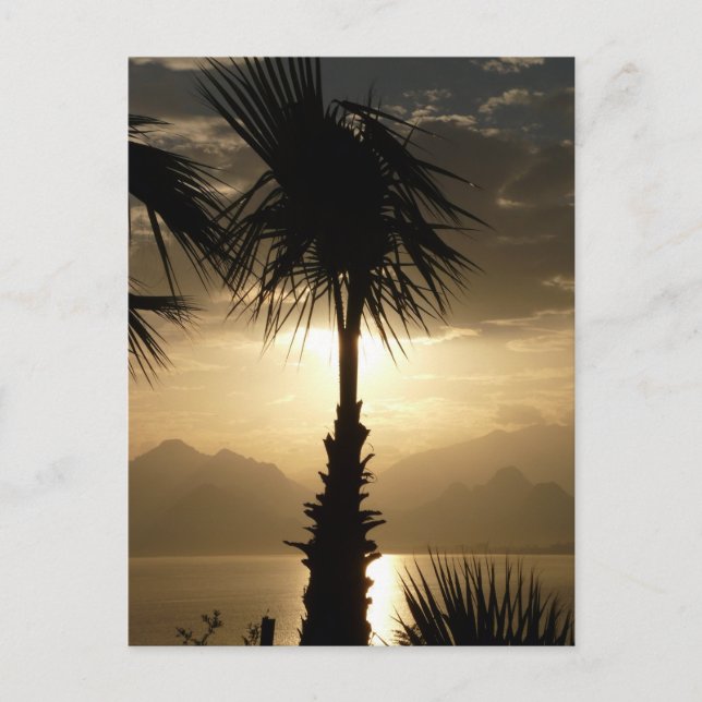Hawaii Island Travel Beach Sunset Palm Trees Postkarte (Vorderseite)