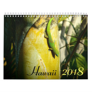Hawaii-Kalender 2018 landschaftliche Zielorte Kalender