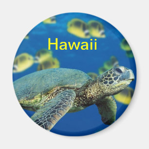Hawaii-Kühlschrankmagnet Magnet