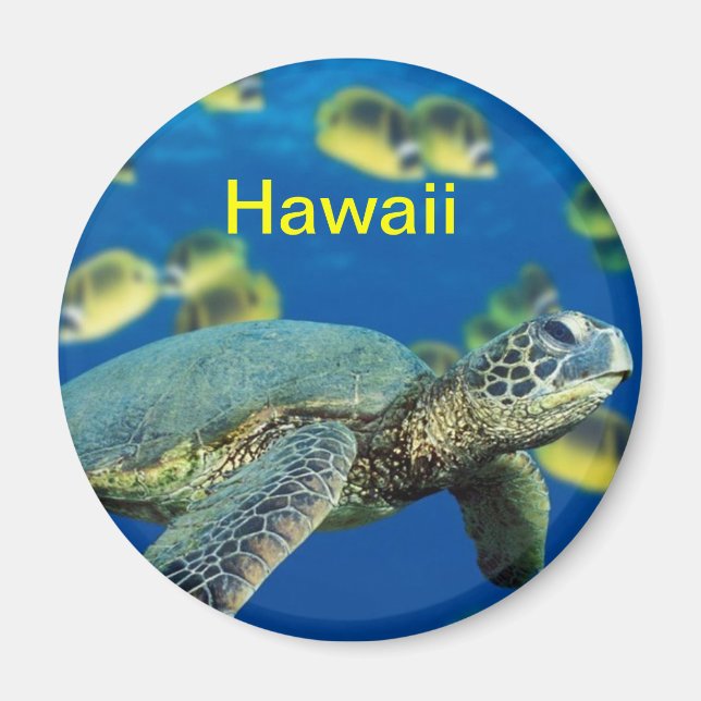 Hawaii-Kühlschrankmagnet Magnet (Vorne)