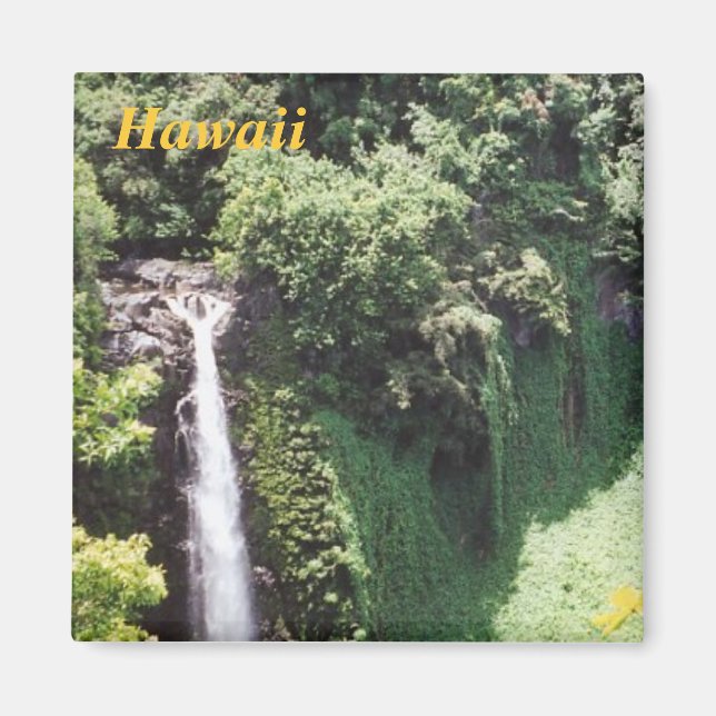 hawaii-Kühlschrankmagnet Magnet (Vorne)